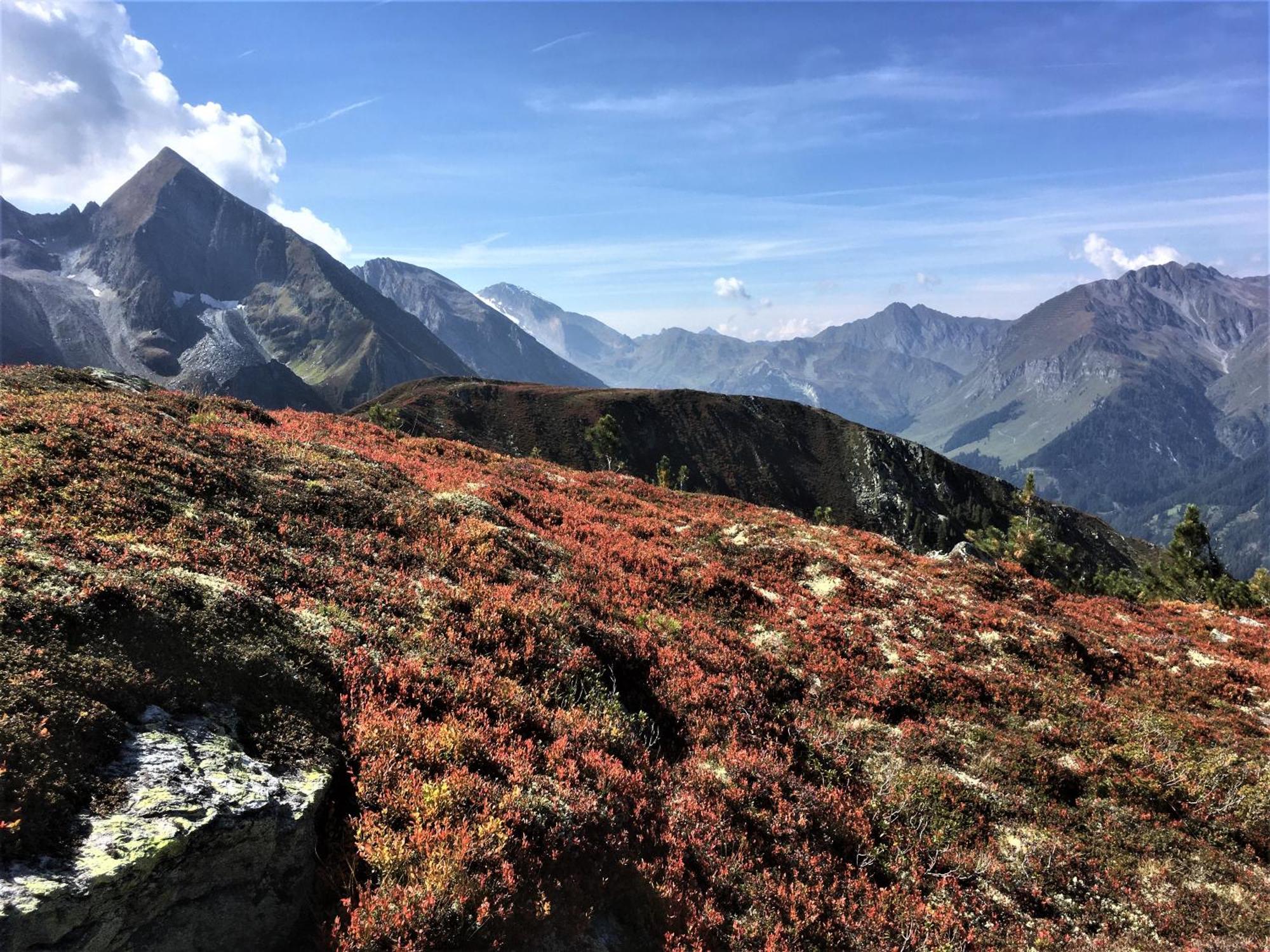 Monas Home Mayrhofen Dış mekan fotoğraf